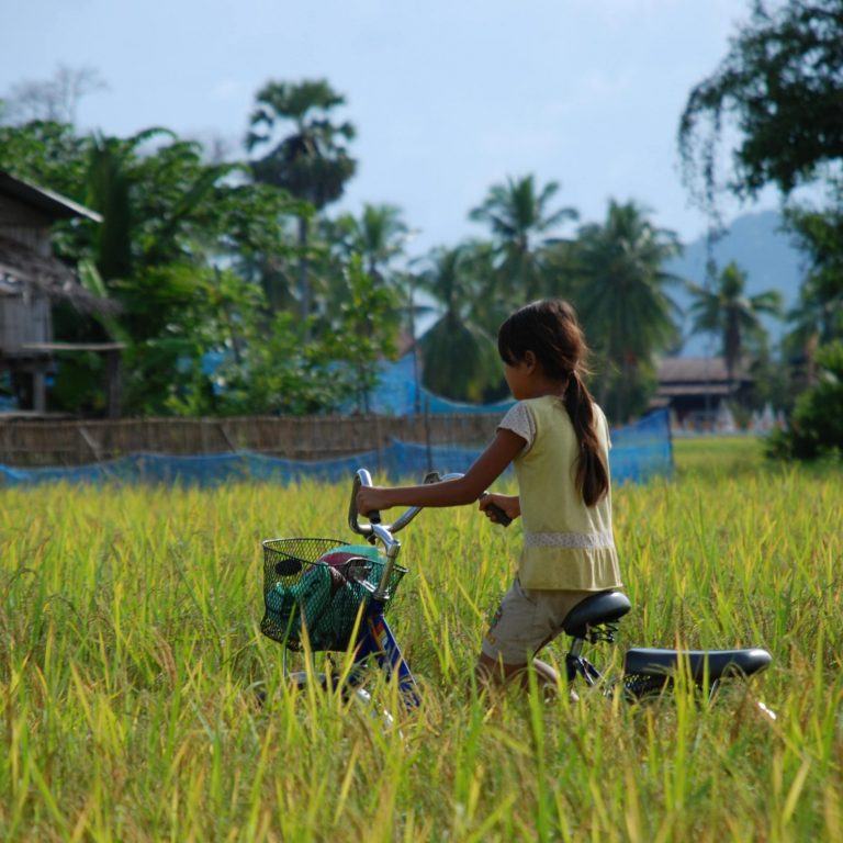 A little girl riding a bike on a field