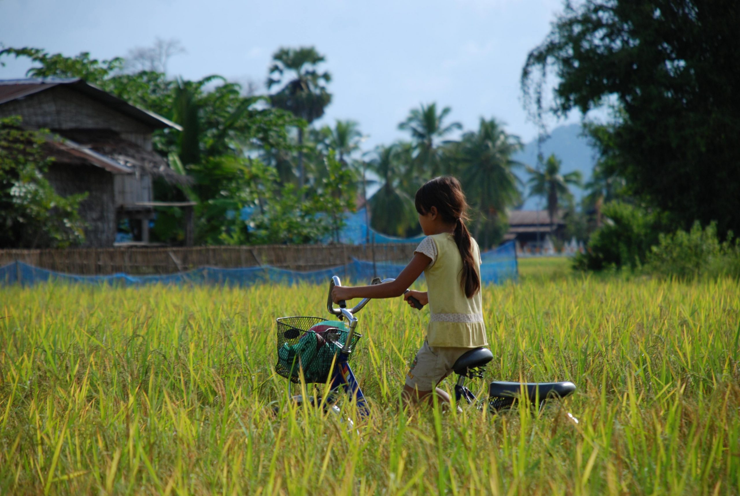 Tyttö pyöräilee pellolla.