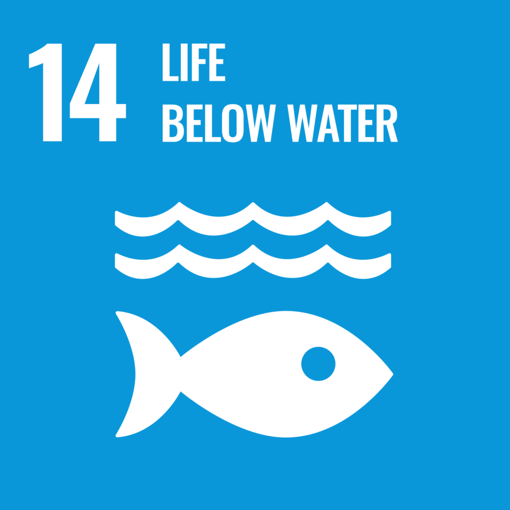 Kuvassa kestävän kehityksen tavoite 14: vedenalainen elämä