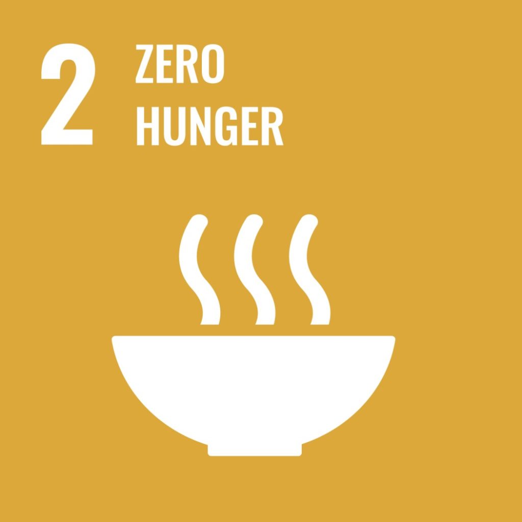 Kuvassa kestävän kehityksen tavoite 2 Ei nälkää