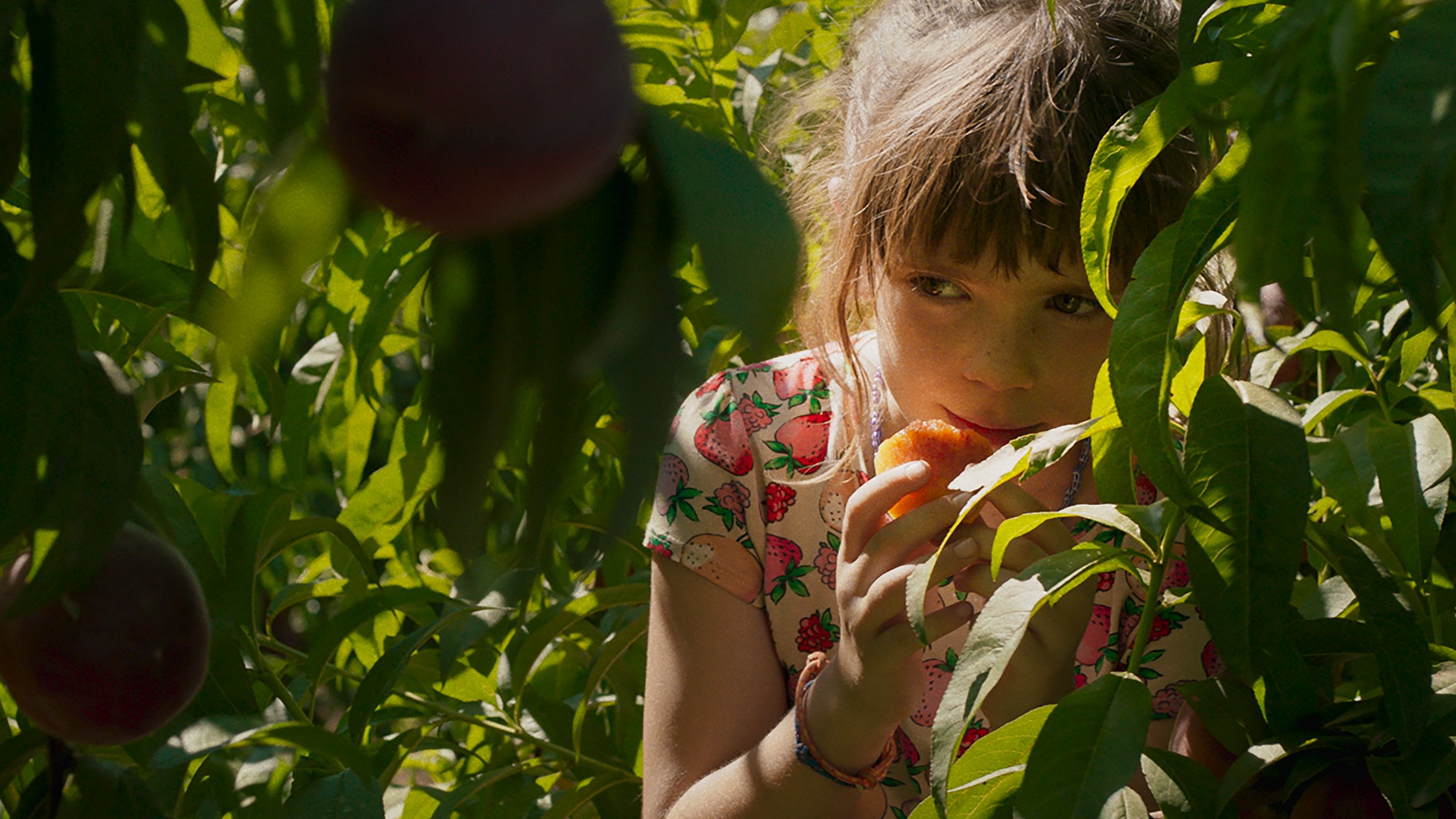 In photo: A girl hiding behind the bushes. Photo from the movie Alcarràs.