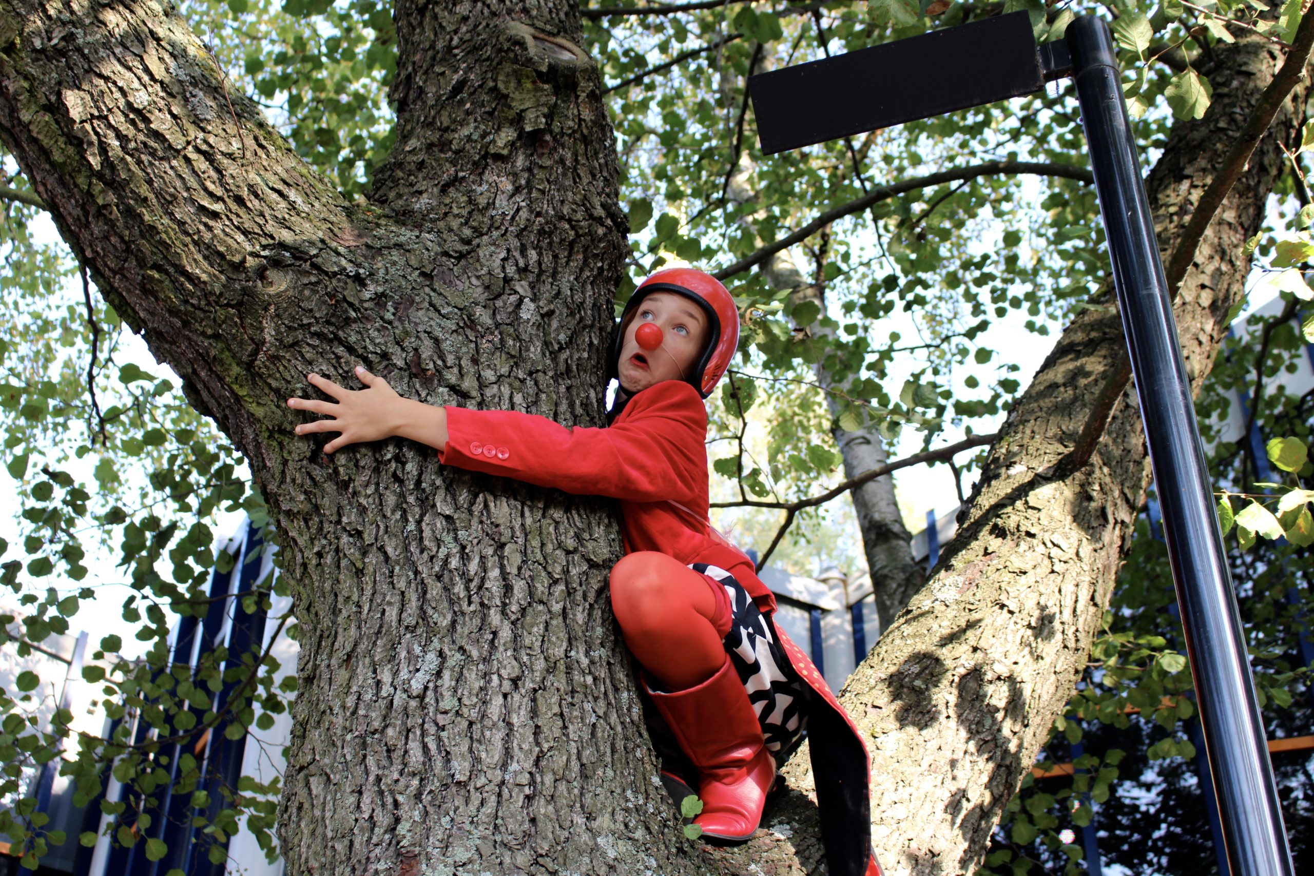 In photo: A clown climbing in a tree