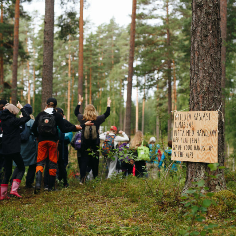 A group of children in a forest.