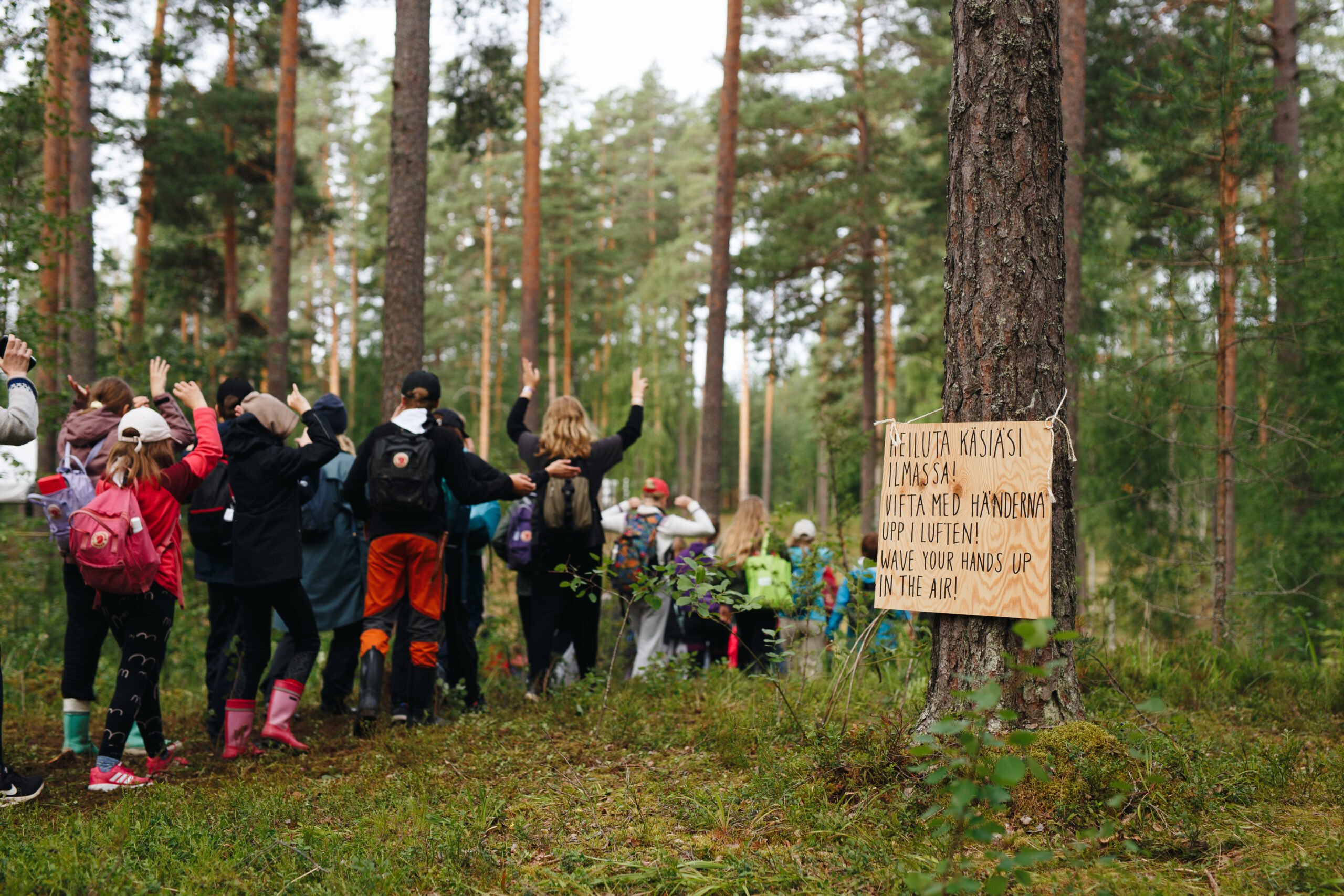 Joukko lapsia metsässä.